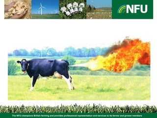 The NFU champions British farming and provides professional representation and services to its farmer and grower members
 