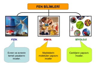 FEN BİLİMLERİ FİZİK KİMYA  BİYOLOJİ Evren ve evrenin temel yasalarını inceler. Maddelerin moleküler yapısını inceler Canlıların yapısını  İnceler. 