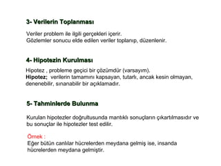 3- Verilerin Toplanması   Veriler problem ile ilgili gerçekleri içerir.  Gözlemler sonucu elde edilen veriler toplanıp, düzenlenir.  4- Hipotezin Kurulması  Hipotez , probleme geçici bir çözümdür (varsayım). Hipotez;   verilerin tamamını kapsayan, tutarlı, ancak kesin olmayan,  denenebilir, sınanabilir bir açıklamadır. 5- Tahminlerde Bulunma   Kurulan hipotezler doğrultusunda mantıklı sonuçların çıkartılmasıdır ve  bu sonuçlar ile hipotezler test edilir.  Örnek : Eğer bütün canlılar hücrelerden meydana gelmiş ise, insanda  hücrelerden meydana gelmiştir.  