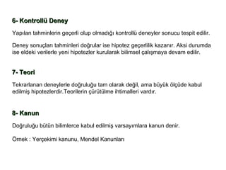 6- Kontrollü Deney  Yapılan tahminlerin geçerli olup olmadığı kontrollü deneyler sonucu tespit edilir.  Deney sonuçları tahminleri doğrular ise hipotez geçerlilik kazanır. Aksi durumda  ise eldeki verilerle yeni hipotezler kurularak bilimsel çalışmaya devam edilir.  7- Teori  Tekrarlanan deneylerle doğruluğu tam olarak değil, ama büyük ölçüde kabul  edilmiş hipotezlerdir.Teorilerin çürütülme ihtimalleri vardır. 8- Kanun   Doğruluğu bütün bilimlerce kabul edilmiş varsayımlara kanun denir. Örnek : Yerçekimi kanunu, Mendel Kanunları 