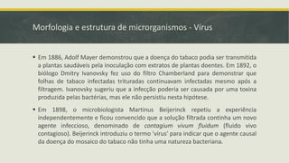 Morfologia e estrutura de microrganismos - Vírus
▪ Em 1886, Adolf Mayer demonstrou que a doença do tabaco podia ser transmitida
a plantas saudáveis pela inoculação com extratos de plantas doentes. Em 1892, o
biólogo Dmitry Ivanovsky fez uso do filtro Chamberland para demonstrar que
folhas de tabaco infectadas trituradas continuavam infectadas mesmo após a
filtragem. Ivanovsky sugeriu que a infecção poderia ser causada por uma toxina
produzida pelas bactérias, mas ele não persistiu nesta hipótese.
▪ Em 1898, o microbiologista Martinus Beijerinck repetiu a experiência
independentemente e ficou convencido que a solução filtrada continha um novo
agente infeccioso, denominado de contagium vivum fluidum (fluido vivo
contagioso). Beijerinck introduziu o termo 'vírus' para indicar que o agente causal
da doença do mosaico do tabaco não tinha uma natureza bacteriana.
 