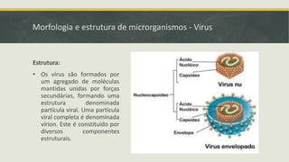 Morfologia e estrutura de microrganismos - Vírus
Estrutura:
• Os vírus são formados por
um agregado de moléculas
mantidas unidas por forças
secundárias, formando uma
estrutura denominada
partícula viral. Uma partícula
viral completa é denominada
vírion. Este é constituído por
diversos componentes
estruturais.
 