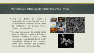 Morfologia e estrutura de microrganismos - Vírus
▪ Uma vez dentro da célula, a
capacidade de replicação dos vírus é
surpreendente: um único vírus é capaz
de multiplicar, em poucas horas,
milhares de novos vírus.
▪ Os vírus são capazes de infectar seres
vivos de todos os domínios (Eukarya e
Monera – Bactéria e Archae). Desta
maneira, os vírus representam a maior
diversidade biológica do planeta,
sendo mais diversos que bactérias,
plantas, fungos e animais juntos.
 