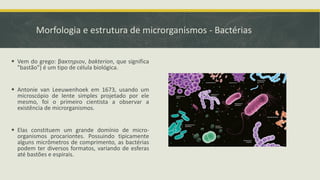 Morfologia e estrutura de microrganismos - Bactérias
▪ Vem do grego: βακτηριον, bakterion, que significa
"bastão") é um tipo de célula biológica.
▪ Antonie van Leeuwenhoek em 1673, usando um
microscópio de lente simples projetado por ele
mesmo, foi o primeiro cientista a observar a
existência de microrganismos.
▪ Elas constituem um grande domínio de micro-
organismos procariontes. Possuindo tipicamente
alguns micrômetros de comprimento, as bactérias
podem ter diversos formatos, variando de esferas
até bastões e espirais.
 