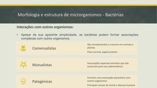 Interações com outros organismos:
• Apesar de sua aparente simplicidade, as bactérias podem formar associações
complexas com outros organismos.
Comensalistas
São omnipresentes e crescem em animais e
plantas.
Flora normal, papel protetor.
Mutualistas
Associações especiais estreitas que são
essenciais para sua sobrevivência.
Patogénicas
Formam uma associação parasitária com
outros organismos
Principais causas de morte e doença humana
Morfologia e estrutura de microrganismos - Bactérias
 