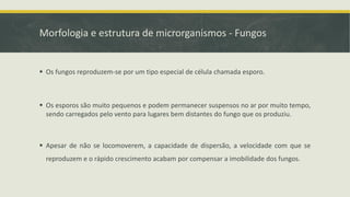 Morfologia e estrutura de microrganismos - Fungos
▪ Os fungos reproduzem-se por um tipo especial de célula chamada esporo.
▪ Os esporos são muito pequenos e podem permanecer suspensos no ar por muito tempo,
sendo carregados pelo vento para lugares bem distantes do fungo que os produziu.
▪ Apesar de não se locomoverem, a capacidade de dispersão, a velocidade com que se
reproduzem e o rápido crescimento acabam por compensar a imobilidade dos fungos.
 