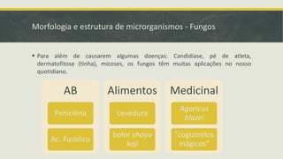 Morfologia e estrutura de microrganismos - Fungos
▪ Para além de causarem algumas doenças: Candidíase, pé de atleta,
dermatofitose (tinha), micoses, os fungos têm muitas aplicações no nosso
quotidiano.
AB
Penicilina
Ac. Fusídico
Alimentos
Levedura
bolor shoyu
koji
Medicinal
Agaricus
blazei
"cogumelos
mágicos"
 