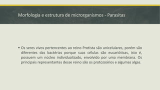 Morfologia e estrutura de microrganismos - Parasitas
▪ Os seres vivos pertencentes ao reino Protista são unicelulares, porém são
diferentes das bactérias porque suas células são eucarióticas, isto é,
possuem um núcleo individualizado, envolvido por uma membrana. Os
principais representantes desse reino são os protozoários e algumas algas.
 