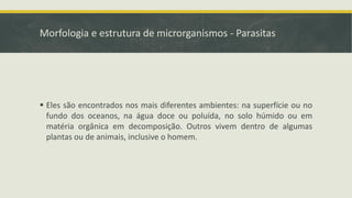 Morfologia e estrutura de microrganismos - Parasitas
▪ Eles são encontrados nos mais diferentes ambientes: na superfície ou no
fundo dos oceanos, na água doce ou poluída, no solo húmido ou em
matéria orgânica em decomposição. Outros vivem dentro de algumas
plantas ou de animais, inclusive o homem.
 