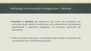 Morfologia e estrutura de microrganismos - Parasitas
▪ Parasitas ou parasitos são organismos que vivem em associação com
outros dos quais retiram os meios para a sua sobrevivência, normalmente
prejudicando o organismo hospedeiro, um processo conhecido por
parasitismo.
▪ Todas as doenças infeciosas e as infestações dos animais e das plantas são
causadas por seres considerados parasitas.
 
