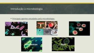 Introdução à microbiologia
▪ Principais agentes estudados pela microbiologia:
Bactérias Fungos Vírus
Protozoários Algas
 