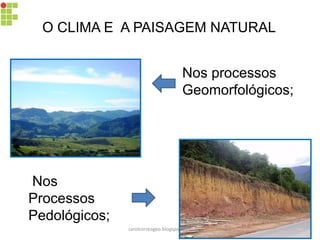 O CLIMA E A PAISAGEM NATURAL
Nos processos
Geomorfológicos;
Nos
Processos
Pedológicos;
carolcorreageo.blogspot.com
 