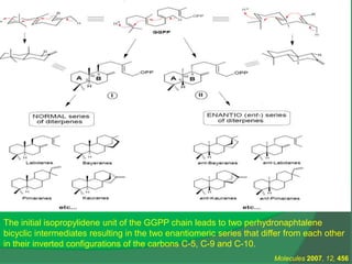 The initial isopropylidene unit of the GGPP chain leads to two perhydronaphtalene
bicyclic intermediates resulting in the two enantiomeric series that differ from each other
in their inverted configurations of the carbons C-5, C-9 and C-10.
Molecules 2007, 12, 456
 
