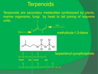 Terpenoids
Terpenoids are secondary metabolites synthesized by plants,
marine organisms, fungi by head to tail joining of isoprene
units.
1
2
3
4
Head
Tail
5
methylbuta-1,3-diene
Isopentenyl pyrophosphate
C C C C C C C C
C C
C C C C C C C C
C C
C C C C
C
head tail head tail
 