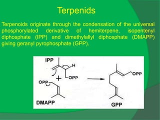 Terpenids
Terpenoids originate through the condensation of the universal
phosphorylated derivative of hemiterpene, isopentenyl
diphosphate (IPP) and dimethylallyl diphosphate (DMAPP)
giving geranyl pyrophosphate (GPP).
 