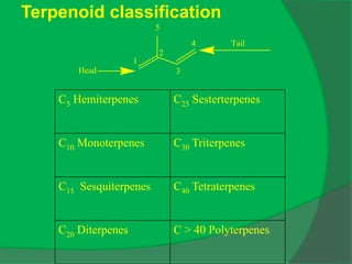Terpenoid classification
C5 Hemiterpenes C25 Sesterterpenes
C10 Monoterpenes C30 Triterpenes
C15 Sesquiterpenes C40 Tetraterpenes
C20 Diterpenes C > 40 Polyterpenes
1
2
3
4
Head
Tail
5
 