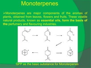Monoterpenes
Monoterpenes are major components of the aromas of
plants, obtained from leaves, flowers and fruits. These volatile
natural products, known as essential oils, form the basis of
the perfumery and flavouring industries.
GPP as the basic substance for Monoterpenes
 