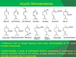 Acyclic Monoterpenes
 Defensive role of simple terpenes have been demonstrated as for more
complex compounds.
Experimentally, a study of Arabidopsis thaliana engineered to overexpress a
terpene synthase leading to the emition of large amounts of linalool, which is
normally produced only in trace levels.
 