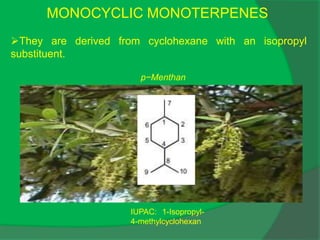 MONOCYCLIC MONOTERPENES
They are derived from cyclohexane with an isopropyl
substituent.
IUPAC: 1-Isopropyl-
4-methylcyclohexan
p−Menthan
 