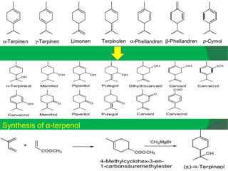Acrylic acid methyl-ester
Synthesis of α-terpenol
 