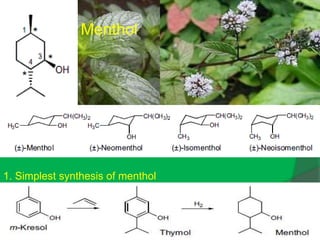 Menthol
1. Simplest synthesis of menthol
 
