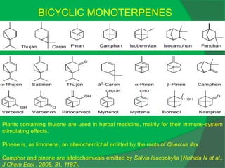 BICYCLIC MONOTERPENES
Plants containing thujone are used in herbal medicine, mainly for their immune-system
stimulating effects.
Pinene is, as limonene, an allelochemichal emitted by the roots of Quercus ilex.
Camphor and pinene are allelochemicals emitted by Salvia leucophylla (Nishida N et al.,
J Chem Ecol , 2005, 31, 1187).
 