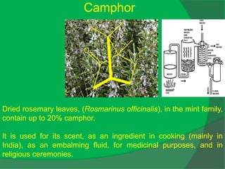 Camphor
O
Dried rosemary leaves, (Rosmarinus officinalis), in the mint family,
contain up to 20% camphor.
It is used for its scent, as an ingredient in cooking (mainly in
India), as an embalming fluid, for medicinal purposes, and in
religious ceremonies.
 