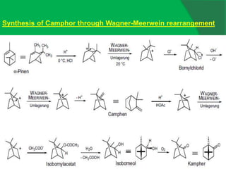 Synthesis of Camphor through Wagner-Meerwein rearrangement
 