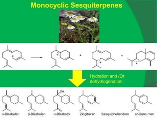 Monocyclic Sesquiterpenes
Hydration and /Or
dehydrogenation
 