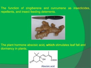 The function of zingiberene and curcumene as insecticides,
repellents, and insect feeding deterrents.
The plant hormone abscisic acid, which stimulates leaf fall and
dormancy in plants.
Abscisic acid
 