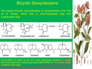 Bicyclic Sesquiterpene
The classic bicyclic sesquiterpene is caryophyllene, from the
oil of cloves, which has a nine-membered ring and
cyclobutane ring.
Accumulation of rishitin as one of a major phytoalexin synthesis in tomato
plant was measured in leaves and stems after elicited by 1% of silver nitrate
at different plant ages.
 