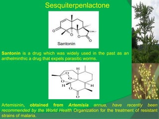Sesquiterpenlactone
Santonin is a drug which was widely used in the past as an
anthelminthic a drug that expels parasitic worms.
Artemisinin
Artemisinin, obtained from Artemisia annua, have recently been
recommended by the World Health Organization for the treatment of resistant
strains of malaria.
 
