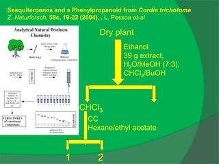 Dry plant
Ethanol
39 g extract,
H2O/MeOH (7:3).
CHCl3/BuOH
CHCl3
CC
Hexane/ethyl acetate
1 2
Sesquiterpenes and a Phenylpropanoid from Cordia trichotoma
Z. Naturforsch, 59c, 19-22 (2004). , L. Pessoa et-al
 