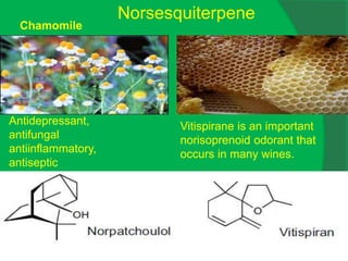 Norsesquiterpene
Antidepressant,
antifungal
antiinflammatory,
antiseptic
Chamomile
Vitispirane is an important
norisoprenoid odorant that
occurs in many wines.
 