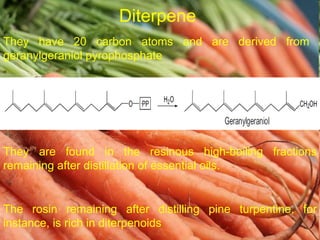 They have 20 carbon atoms and are derived from
geranylgeraniol pyrophosphate
Diterpene
They are found in the resinous high-boiling fractions
remaining after distillation of essential oils.
The rosin remaining after distilling pine turpentine, for
instance, is rich in diterpenoids
 