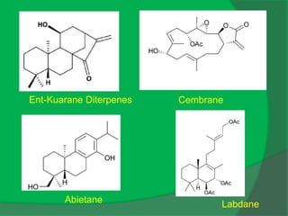 Ent-Kuarane Diterpenes Cembrane
Abietane Labdane
 
