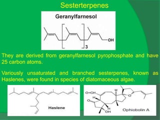 Sesterterpenes
Variously unsaturated and branched sesterpenes, known as
Haslenes, were found in species of diatomaceous algae.
They are derived from geranylfarnesol pyrophosphate and have
25 carbon atoms.
 