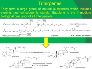 Triterpenes
They form a large group of natural substances which includes
steroids and consequently sterols. Squalene is the immediate
biological precursor of all triterpenoids.
 