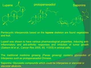 Lupane
Pentacyclic triterpenoids based on the lupane skeleton are found vegetables
and fruit.
Lupeol was shown to have various pharmacological properties, inducing anti-
inflammatory and anti-arthritic responses and inhibition of tumor growth
(Saleem M et al., Cancer Res 2005, 65, 11203) in animal cells.
The traditional medicine ginseng (Panax ginseng) contains glycosides of
triterpenes such as protopanaxadiol Chinese.
O
H
HO
H
HO
H
H
OH
H
O
OH
Saponins: Glycosidic compounds which could be triterpenes or steroidal or
steroidal alkaloids.
OH
HO
H
OH
H
H
protopanaxadiol Saponins
 