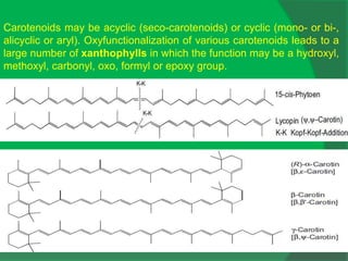 Carotenoids may be acyclic (seco-carotenoids) or cyclic (mono- or bi-,
alicyclic or aryl). Oxyfunctionalization of various carotenoids leads to a
large number of xanthophylls in which the function may be a hydroxyl,
methoxyl, carbonyl, oxo, formyl or epoxy group.
 