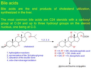 Bile acids
Bile acids are the end products of cholesterol utilization,
synthesized in the liver.
The most common bile acids are C24 steroids with a carboxyl
group at C-24 and up to three hydroxyl groups on the steroid
nucleus, one being at C-3.
 