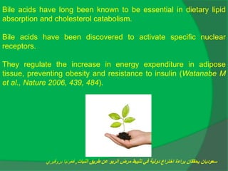 Bile acids have long been known to be essential in dietary lipid
absorption and cholesterol catabolism.
Bile acids have been discovered to activate specific nuclear
receptors.
They regulate the increase in energy expenditure in adipose
tissue, preventing obesity and resistance to insulin (Watanabe M
et al., Nature 2006, 439, 484).
‫النبات‬ ‫طريق‬ ‫عن‬ ‫الربو‬ ‫مرض‬ ‫تثبيط‬ ‫في‬ ‫دولية‬ ‫اختراع‬ ‫براءة‬ ‫يحققان‬ ‫سعوديان‬
,
‫بروقيري‬ ‫فغونيا‬
 