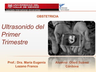 Ultrasonido del
Primer
Trimestre
OBSTETRICIA
Prof.: Dra. María Eugenia
Lozano Franco
Alumno: Obed Suárez
Córdova
 