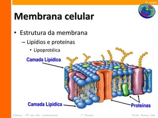 O corpo




Membrana celular
• Estrutura da membrana
      – Lipídios e proteínas
            • Lipoprotéica
          Camada Lipídica




           Camada Lipídica                        Proteínas
Ciências – 8º ano Ens. Fundamental   1º Período   Profa. Rebeca Vale
 