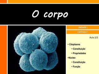 O corpo
                UNIDADE I

                CAPÍTULO 1

                             Aula 2/2

       Citoplasma
           Constituição
           Propriedades
      Núcleo
           Constituição
           Função
 