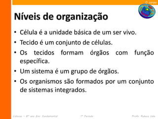 O corpo




Níveis de organização
• Célula é a unidade básica de um ser vivo.
• Tecido é um conjunto de células.
• Os tecidos formam órgãos com função
  específica.
• Um sistema é um grupo de órgãos.
• Os organismos são formados por um conjunto
  de sistemas integrados.


Ciências – 8º ano Ens. Fundamental   1º Período   Profa. Rebeca Vale
 