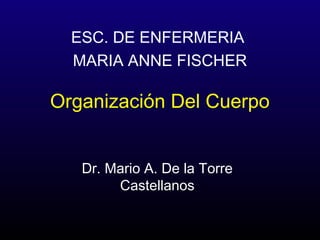 ESC. DE ENFERMERIA
  MARIA ANNE FISCHER

Organización Del Cuerpo


   Dr. Mario A. De la Torre
        Castellanos
 