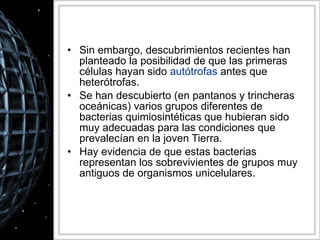 Sin embargo, descubrimientos recientes han planteado la posibilidad de que las primeras células hayan sido  autótrofas  antes que heterótrofas.  Se han descubierto (en pantanos y trincheras oceánicas) varios grupos diferentes de bacterias quimiosintéticas que hubieran sido muy adecuadas para las condiciones que prevalecían en la joven Tierra.  Hay evidencia de que estas bacterias representan los sobrevivientes de grupos muy antiguos de organismos unicelulares.  
