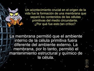 Un acontecimiento crucial en el origen de la vida fue la formación de una membrana que separó los contenidos de las células primitivas del medio circundante.  ¿Por qué fue esto tan crítico?  La membrana permitió que el ambiente interno de la célula primitiva fuera diferente del ambiente externo. La membrana, por lo tanto, permitió el mantenimiento estructural y químico de la célula. 