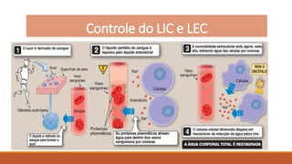 Fisiologia celular - osmose e fluidos corporais | PPTX